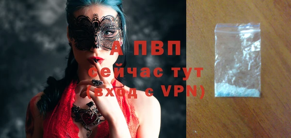 хмурый Верея