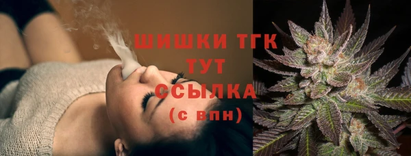 хмурый Верея