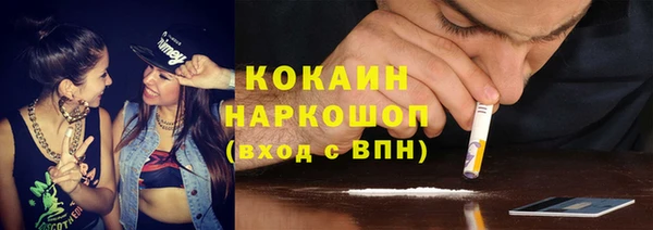 хмурый Верея