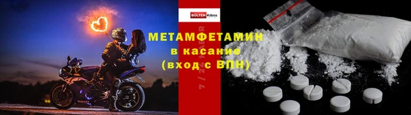 хмурый Верея