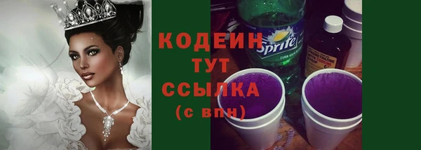 СК Верхний Тагил