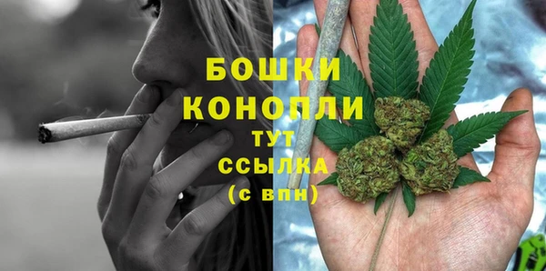 хмурый Верея
