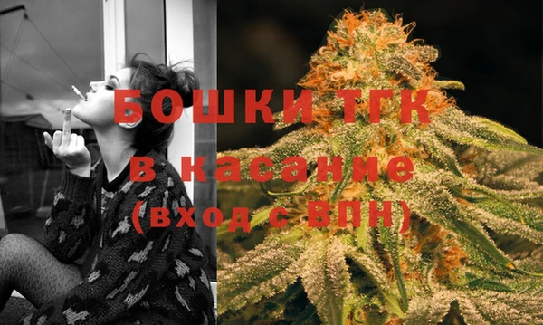 хмурый Верея