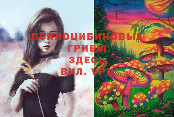 гидропоника Верхнеуральск