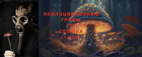 гидропоника Верхнеуральск