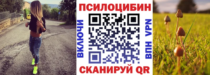 что такое наркотик  Каргополь  Псилоцибиновые грибы Psilocybe 
