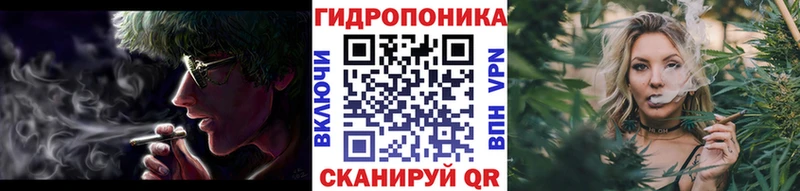 купить   Каргополь  Марихуана план 